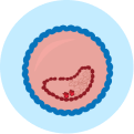 A simplified diagram of a blood vessel with plaque buildup, narrowing the passage for blood flow.